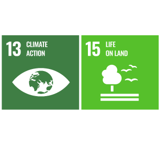 SDGs